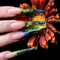 Crystal nails Nail art