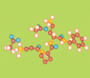 Sastav molekula SYN-AKE