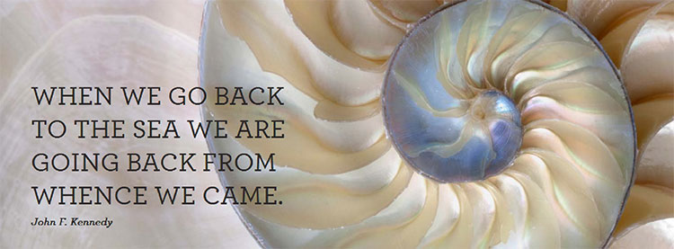 When we go back to the sea we are going back from whence we came