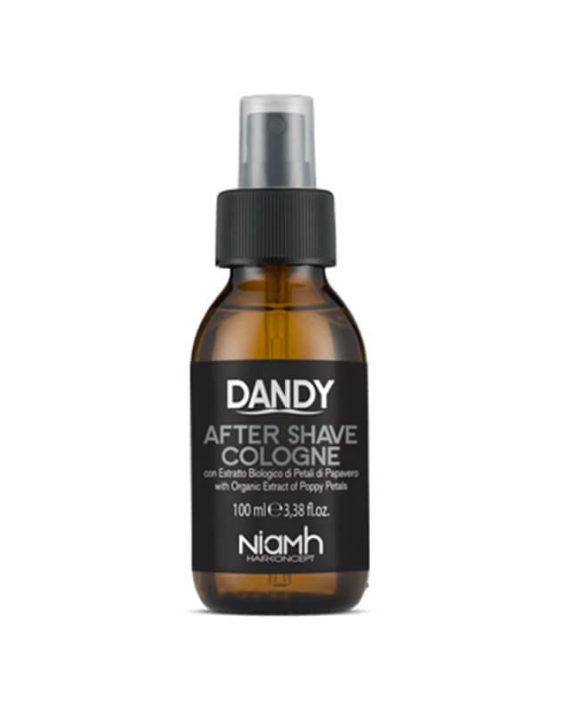 Dandy Man - After shave kolonjska voda 100 ml Dandy Man - After shave kolonjska voda 100 ml