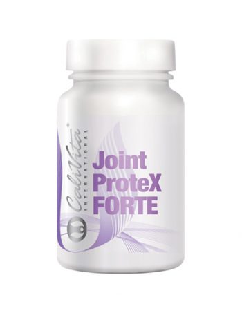 Joint-ProteX-FORTE-(90-tableta)