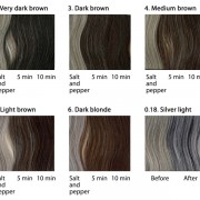 Lisap Man Color - boja za kosu za muskarce + aktivator Lisap Man Color - boja za kosu za muskarce + aktivator