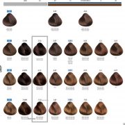 PBFC™ Permanent color - trajna boja za kosu 1 PBFC™ Permanent color - trajna boja za kosu
