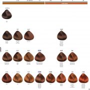 PBFC™ Permanent color - trajna boja za kosu 3 PBFC™ Permanent color - trajna boja za kosu