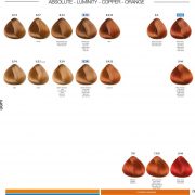 PBFC™ Permanent color - trajna boja za kosu 5 PBFC™ Permanent color - trajna boja za kosu
