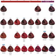 PBFC™ Permanent color - trajna boja za kosu 6 PBFC™ Permanent color - trajna boja za kosu