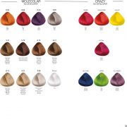 PBFC™ Permanent color - trajna boja za kosu