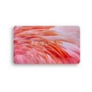 Paleta senki i pigmenata REVOLUTION MAKEUP Forever Flawless Flamboyance Flamingo 19 (5)