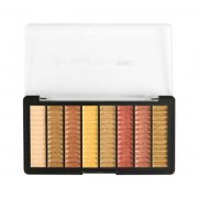Paleta senki za oci REVOLUTION PRO Supreme Bewitch 8g