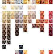 SP-Transition_Guide_colour1