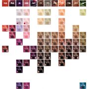 SP-Transition_Guide_colour2