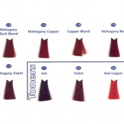 maxitone 3 maxitone 3