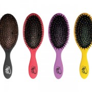 Wet Brush Shine