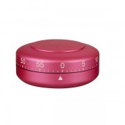 Wet Brush Timer